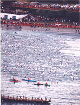 A sea of 1,200 triathletes take to the open water in New Zealand before sunrise. 